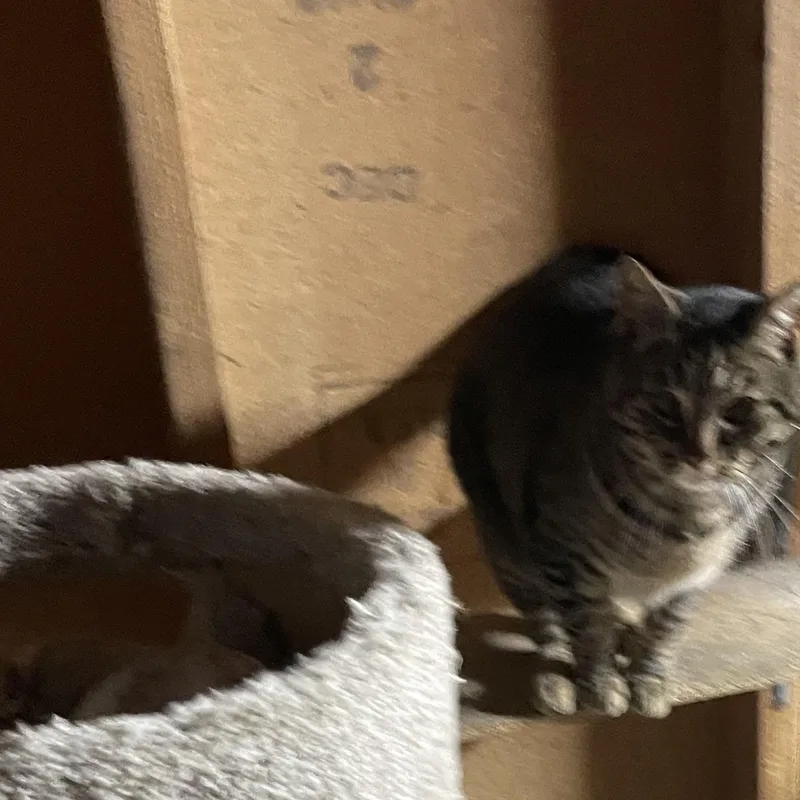 Girlfriend thumbnail 3