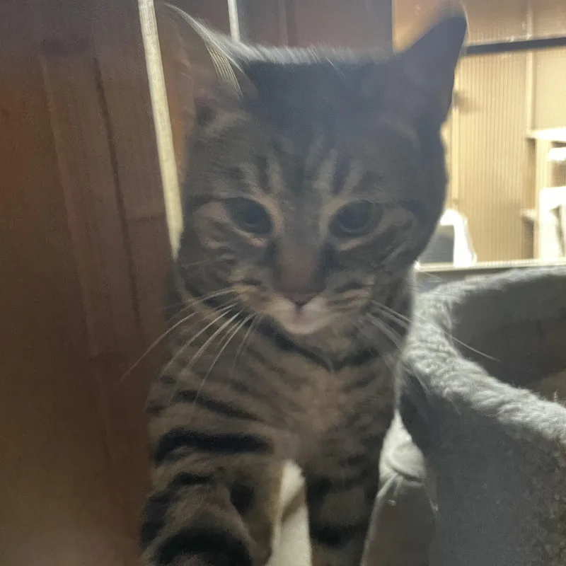 Girlfriend thumbnail 4