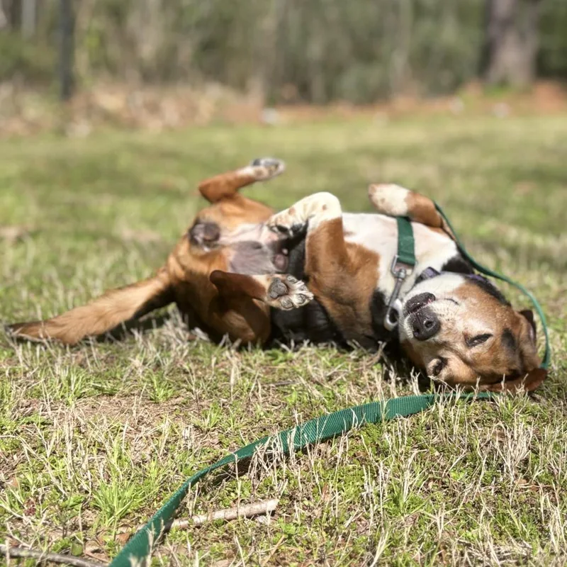 Miss Stick thumbnail 2