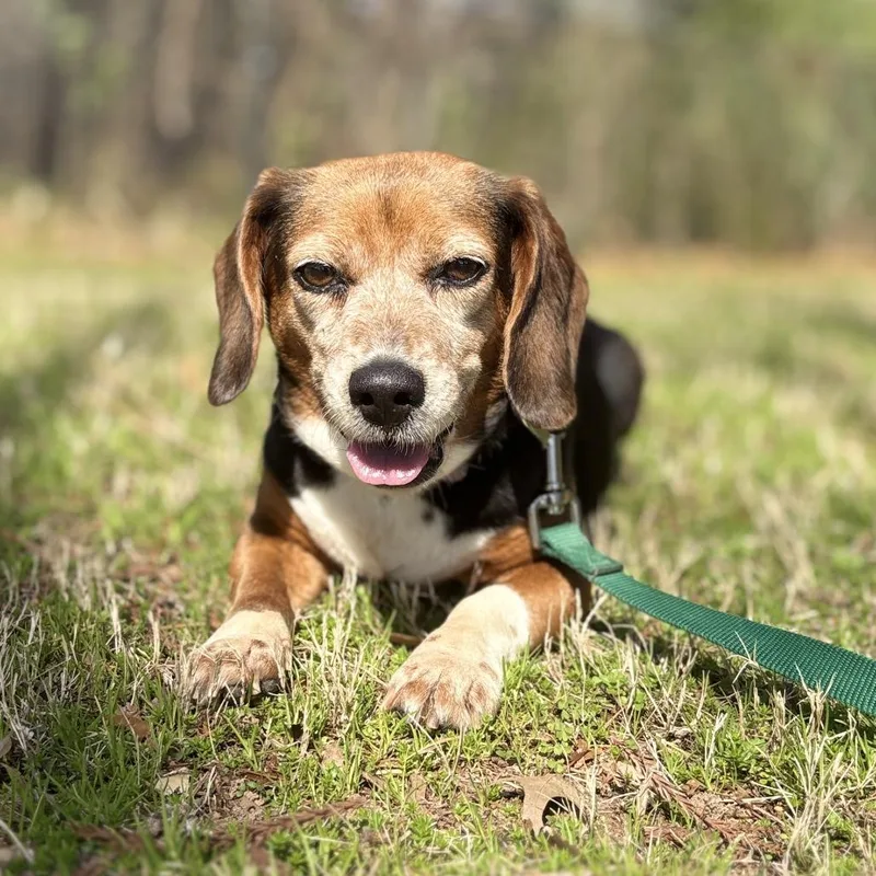 Miss Stick thumbnail 3