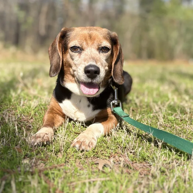 Miss Stick thumbnail 4