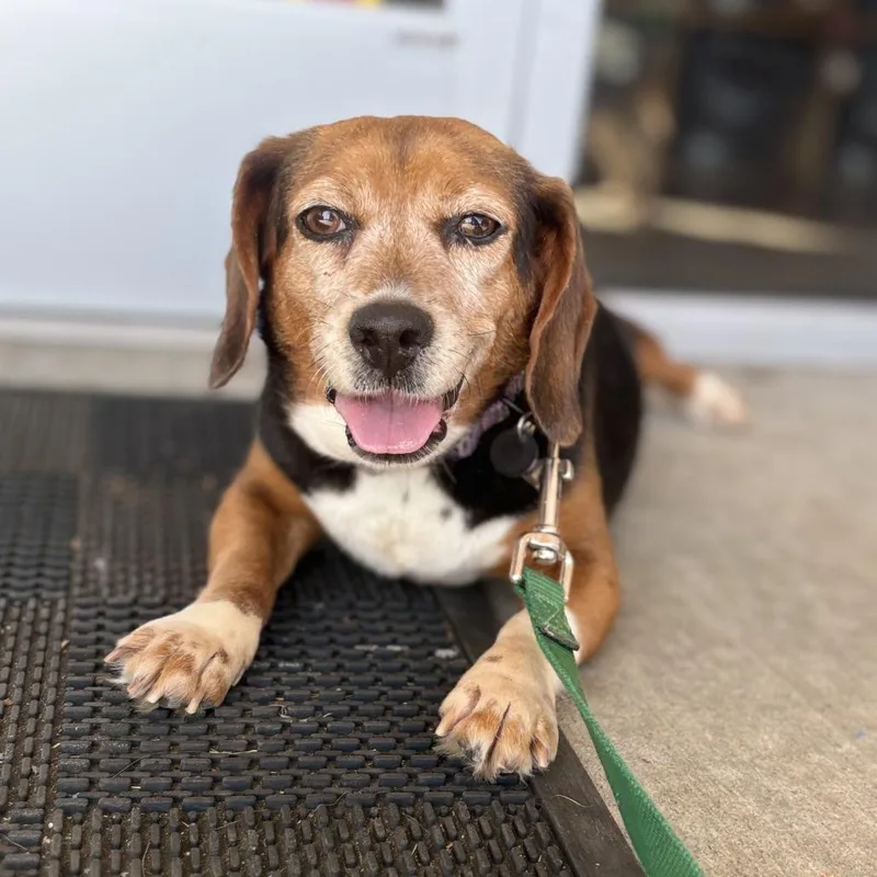 Miss Stick thumbnail 5