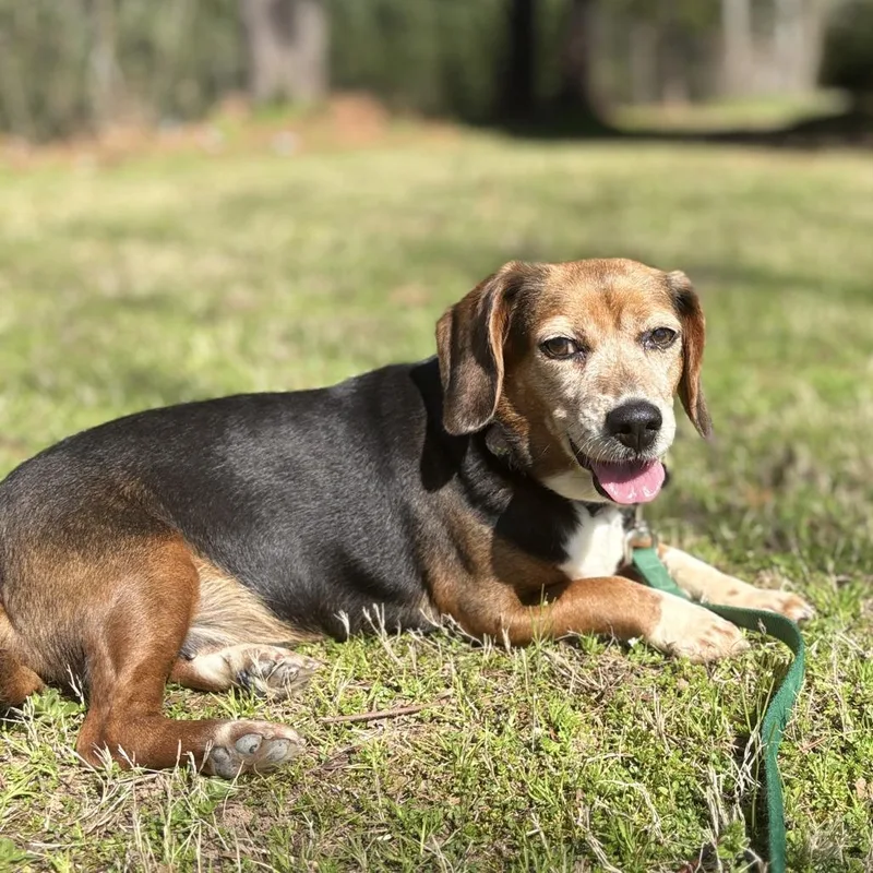 Miss Stick thumbnail 6