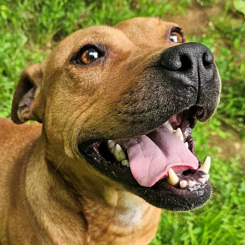 Florence thumbnail 2