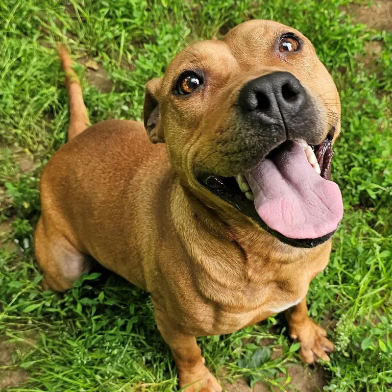 Florence thumbnail 3