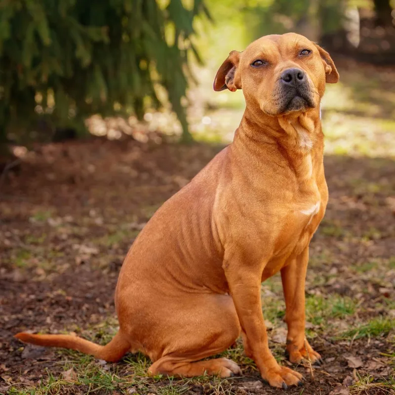 Florence thumbnail 4