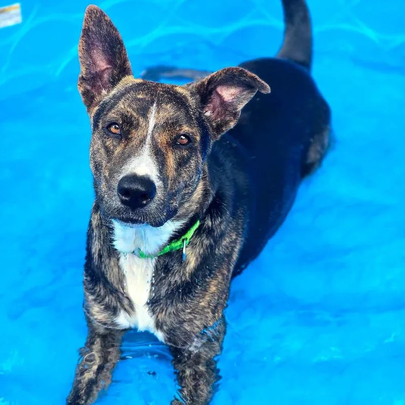 Solstice thumbnail 3