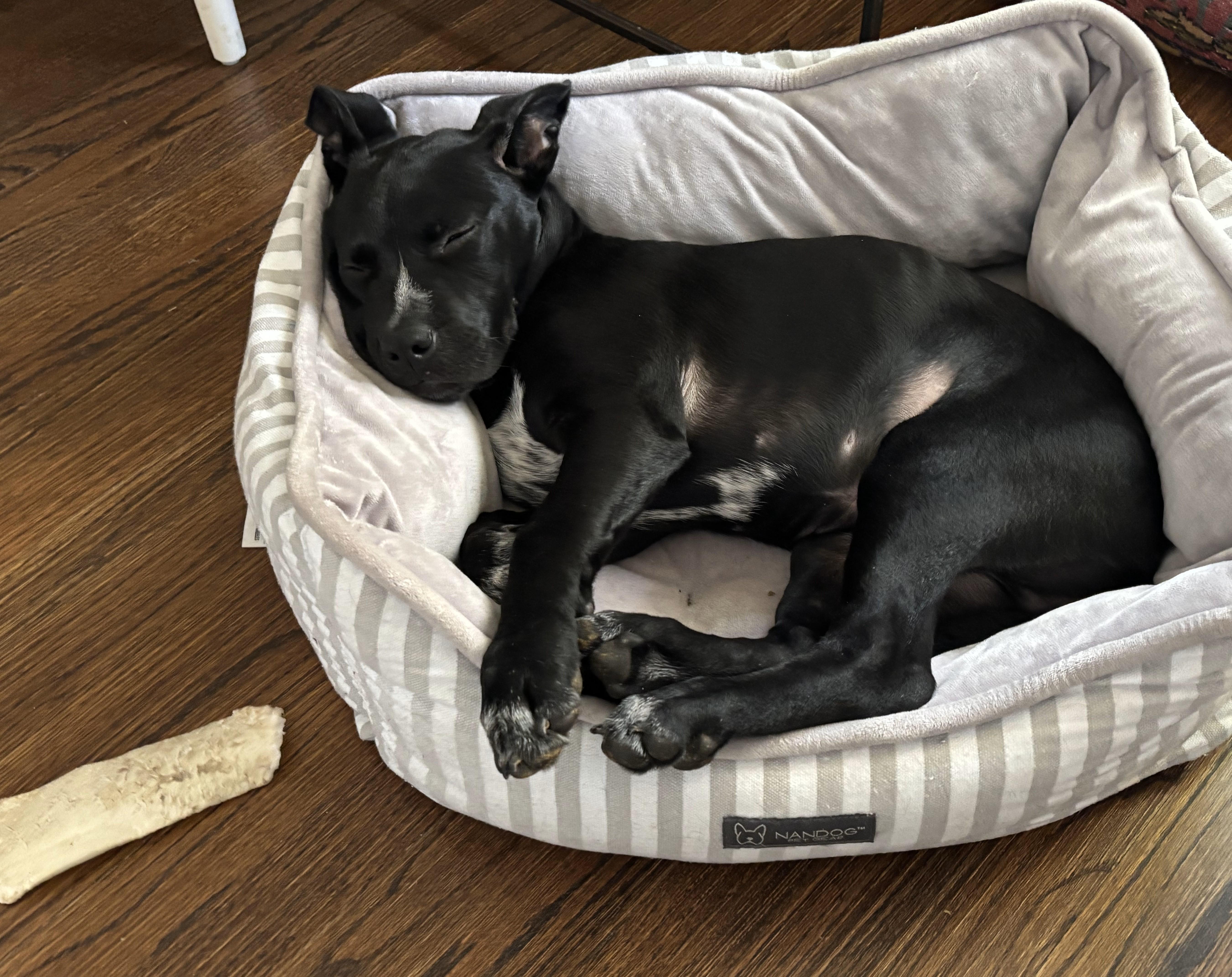 Junior  Ext Ws thumbnail 4