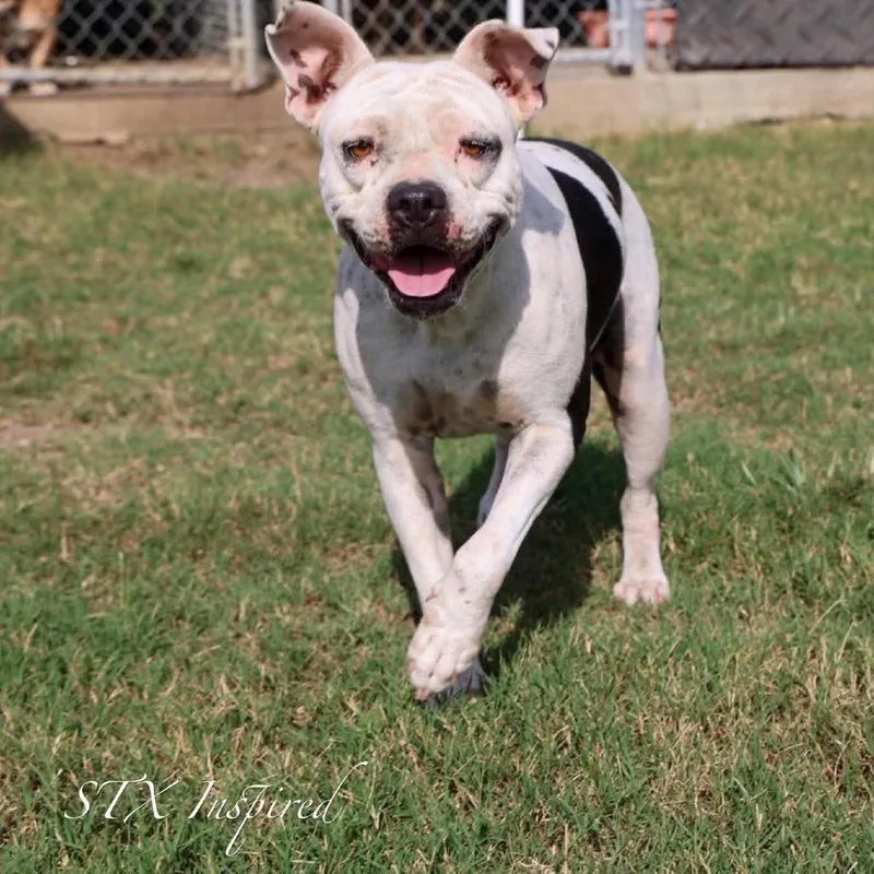 Betty thumbnail 4