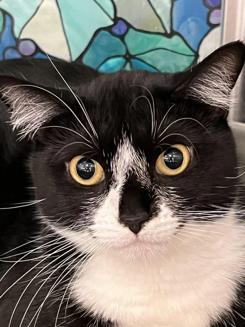 Baby Biscuits thumbnail 5