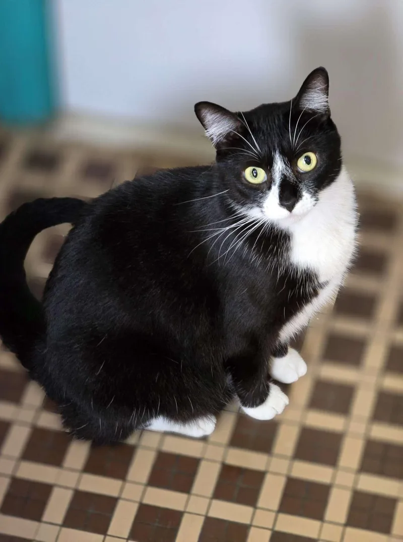 Baby Biscuits thumbnail 6