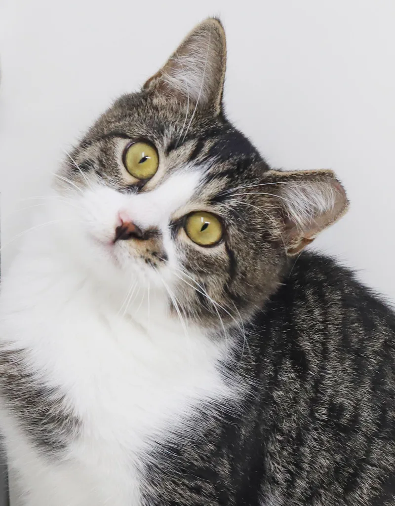 Marmalade is a mushy thumbnail 5