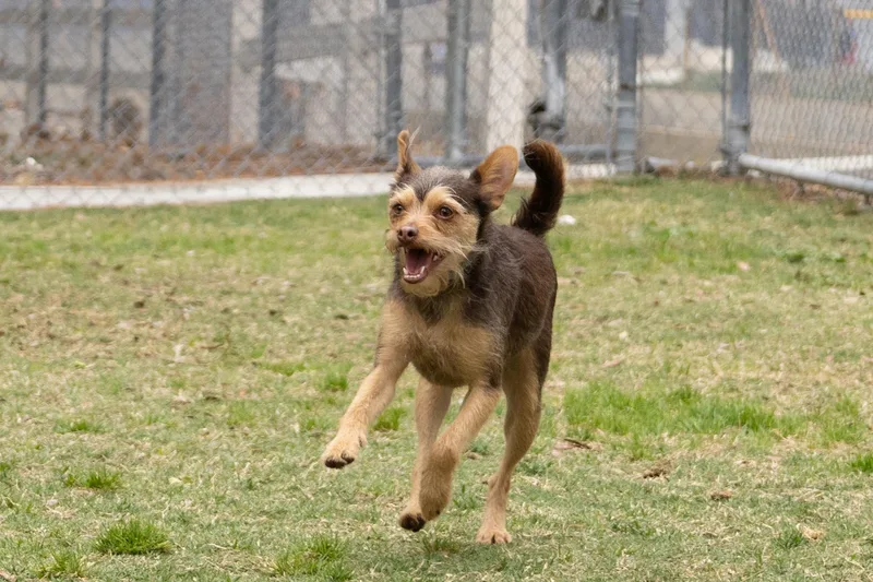 Cosmo And His Good thumbnail 2