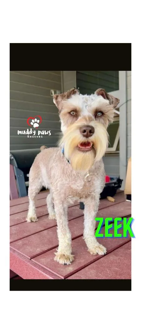 Zeek thumbnail 3