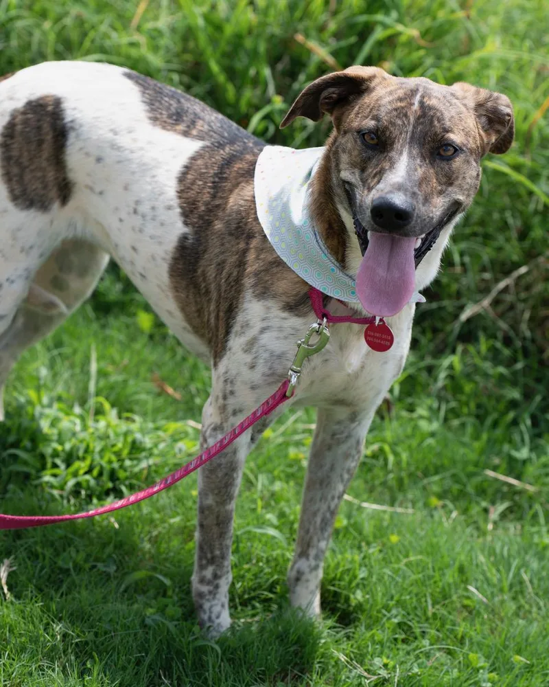 Roulette thumbnail 2