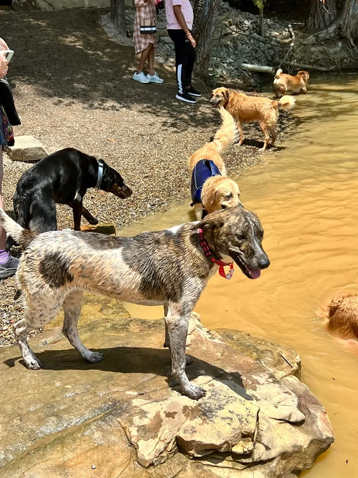 Roulette thumbnail 3