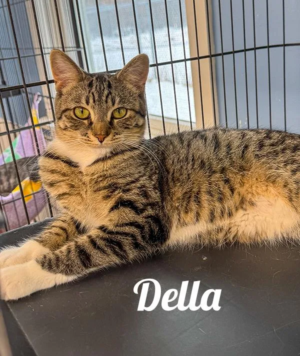 Della