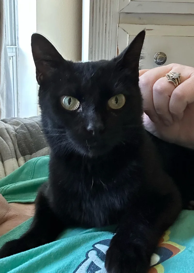 Hazel!  Only  thumbnail 2