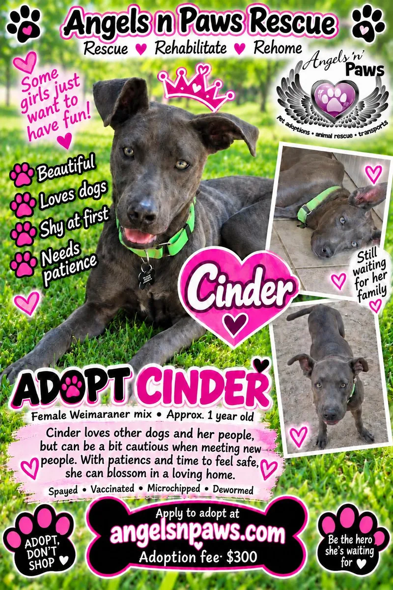 Cinder thumbnail 3