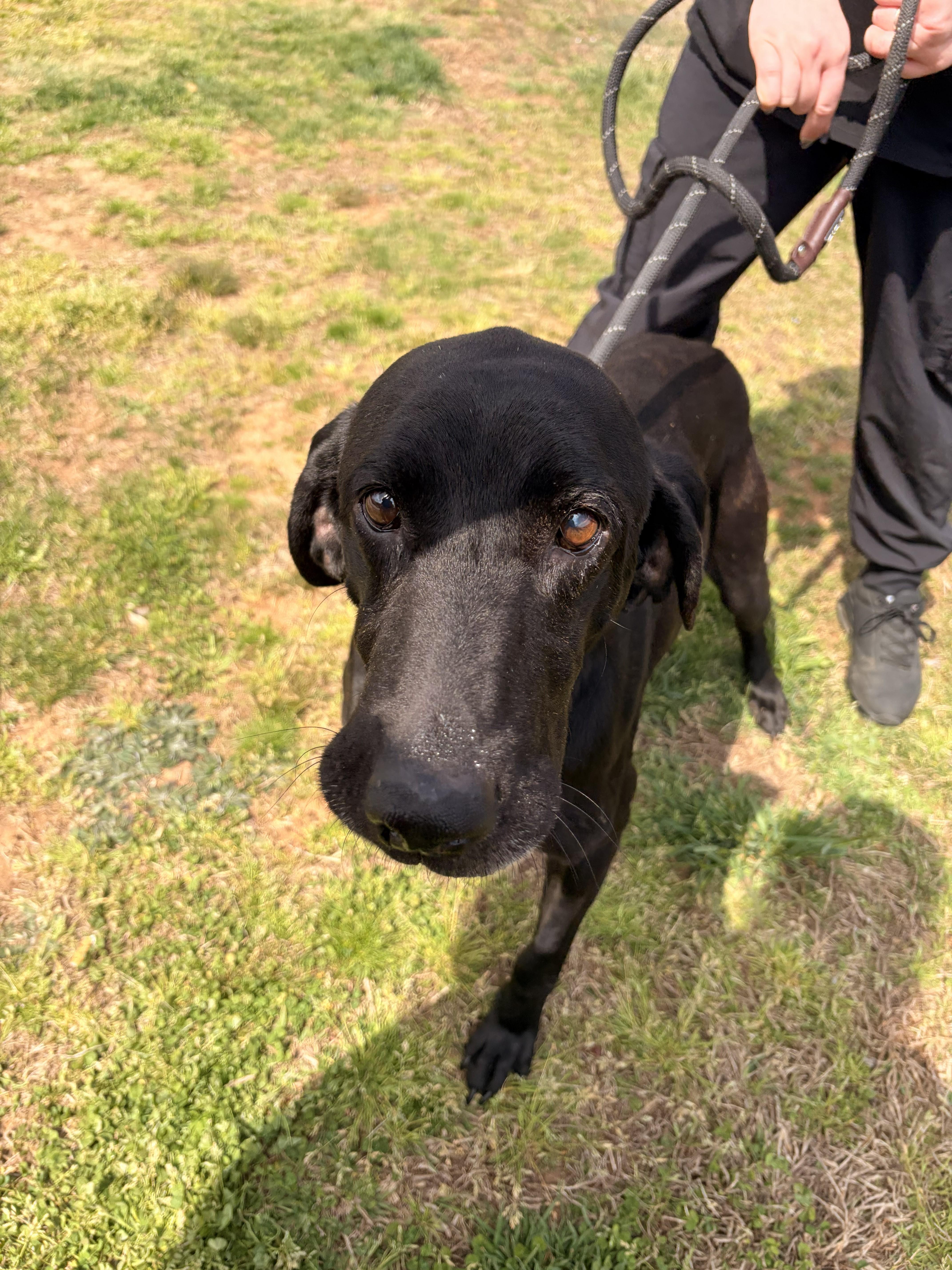 Cornbread thumbnail 2