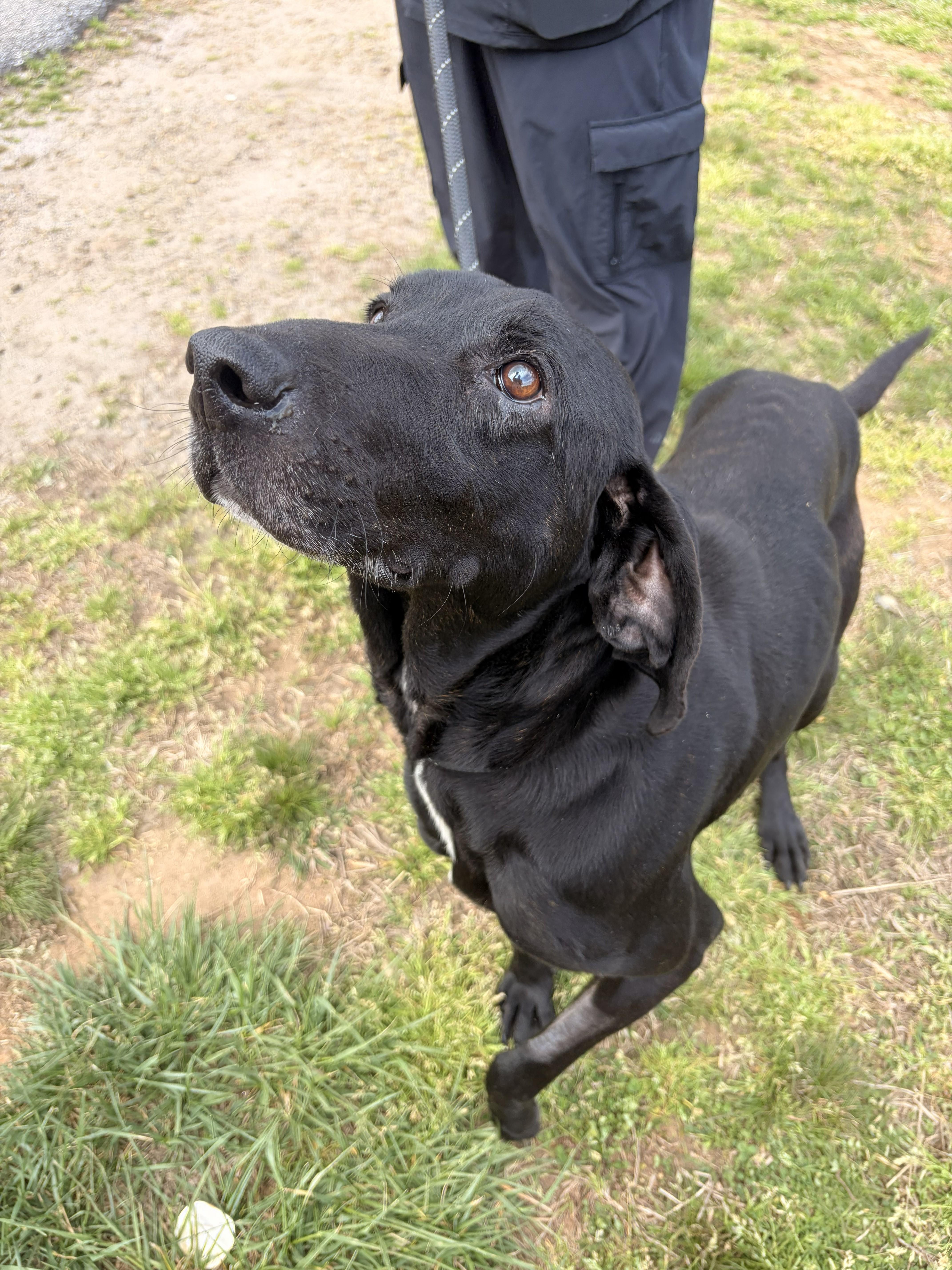 Cornbread thumbnail 3