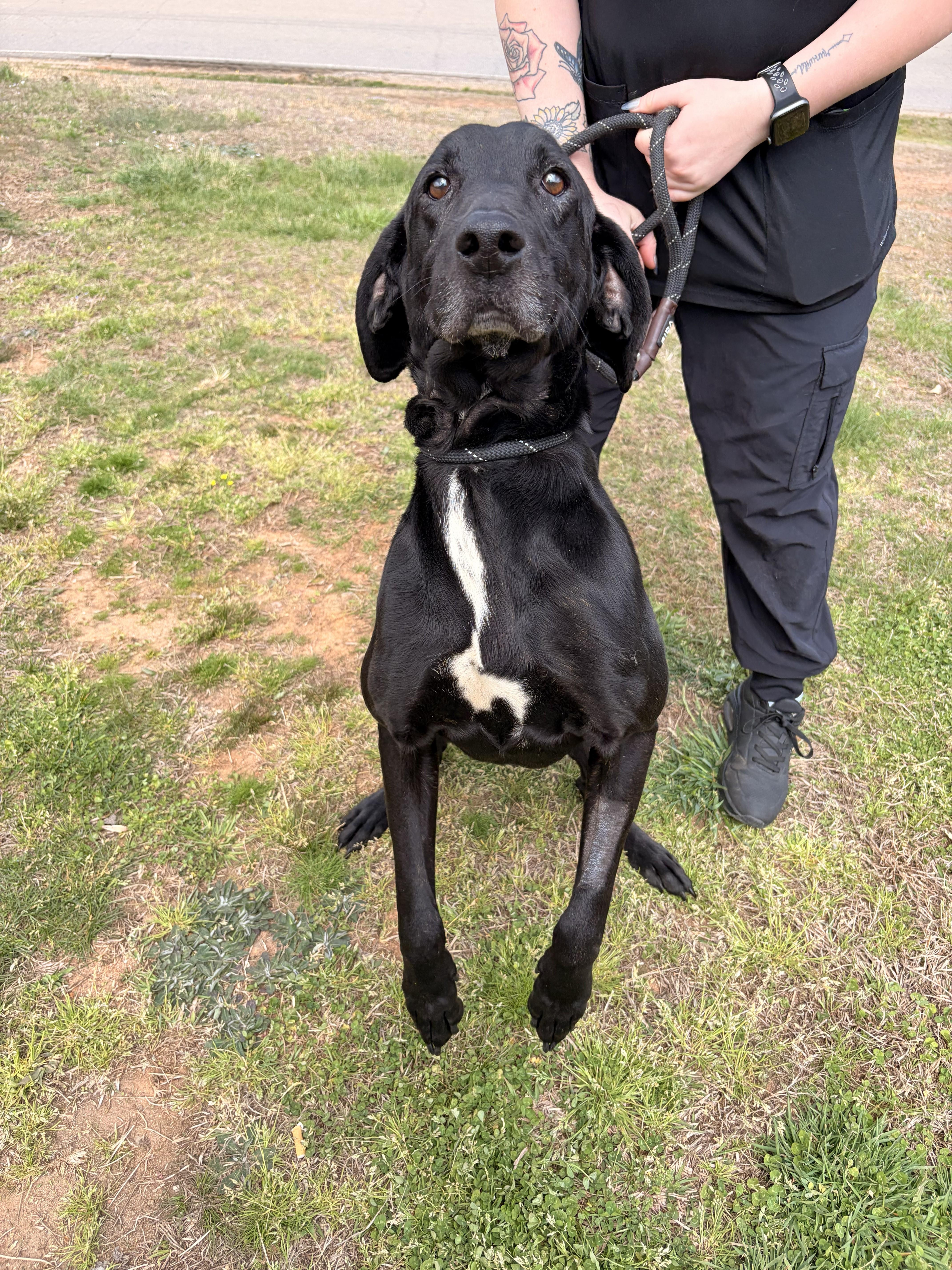 Cornbread thumbnail 4