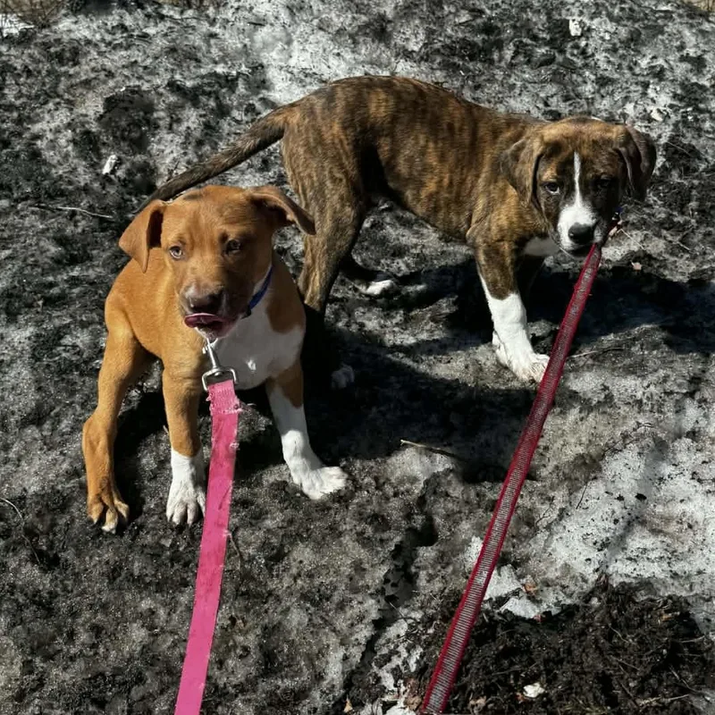 Neutron Star thumbnail 2