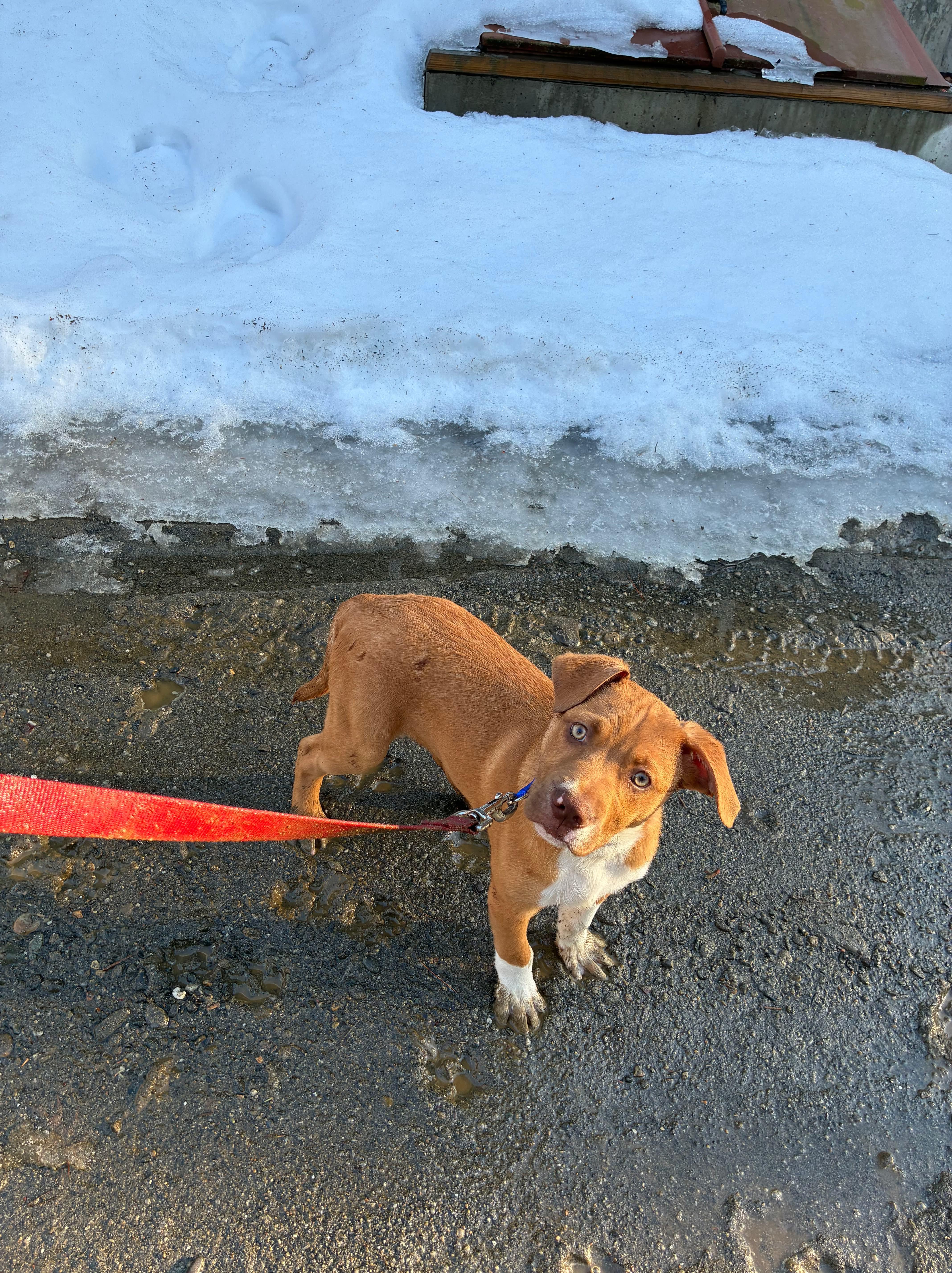 Neutron Star thumbnail 4