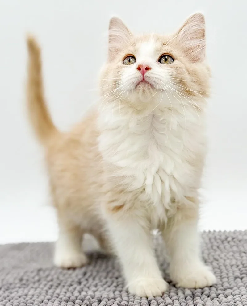 Theo Is The Sweetest thumbnail 3