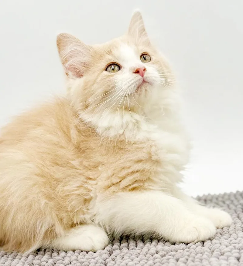 Theo Is The Sweetest thumbnail 4
