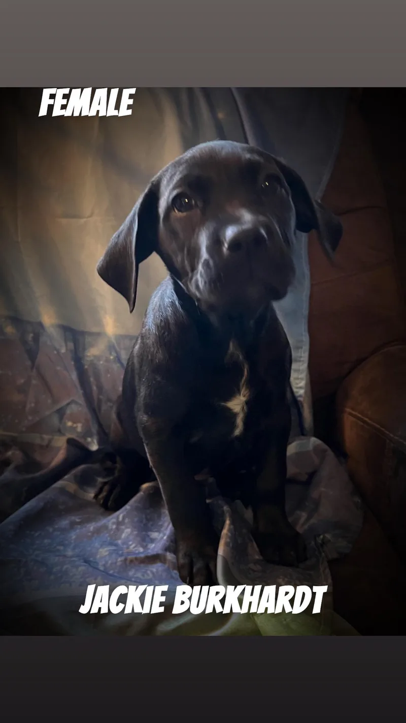 Jackie Burkhardt thumbnail 2