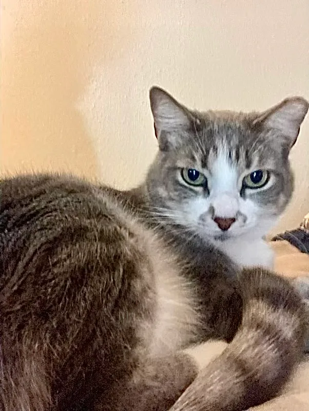 Charlie  Kuykendahl Petsmart thumbnail 2