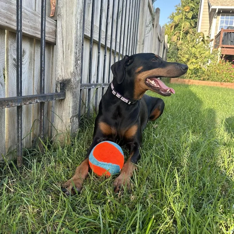 Daisy Mae thumbnail 5