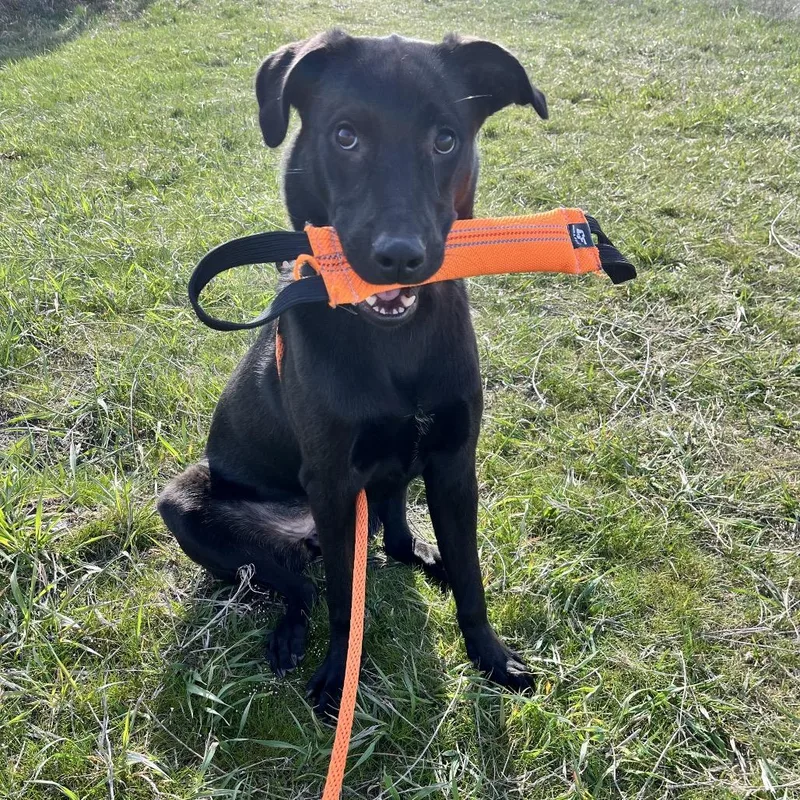 Sparkles thumbnail 2