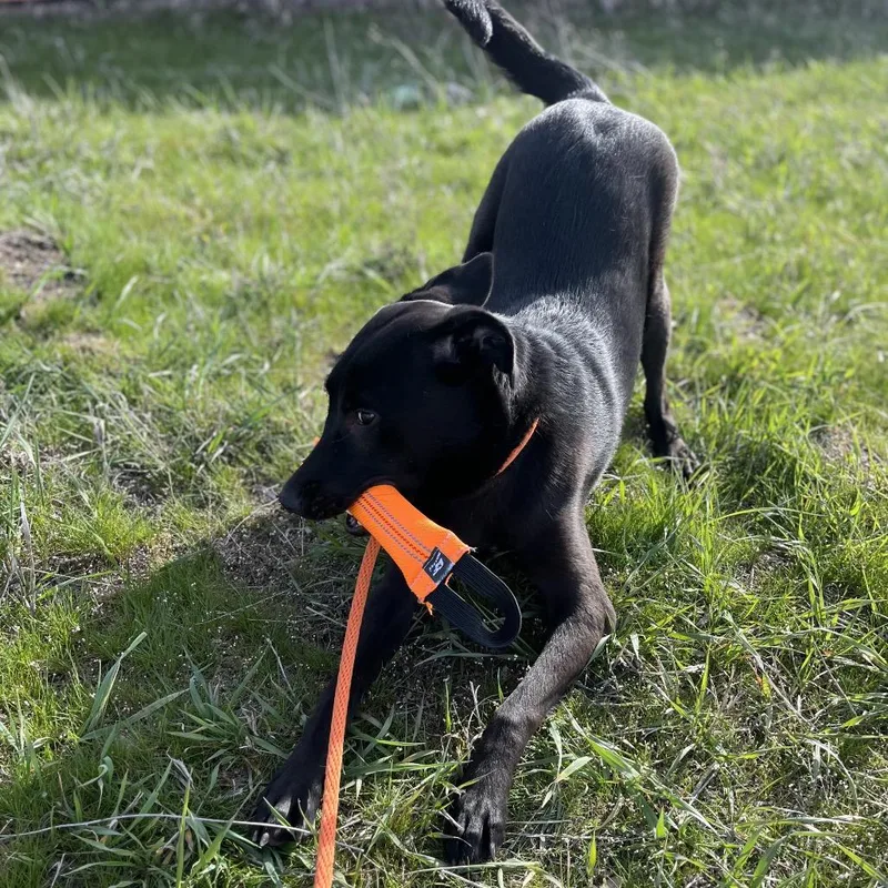 Sparkles thumbnail 3