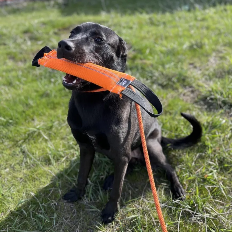 Sparkles thumbnail 4