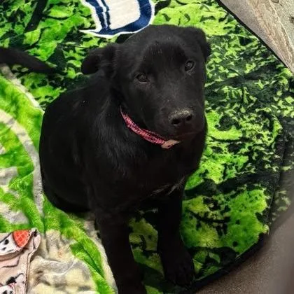 Sparkles thumbnail 5