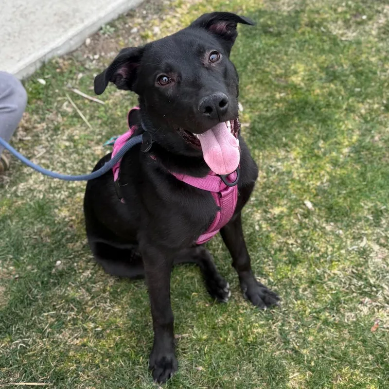 Sparkles thumbnail 6