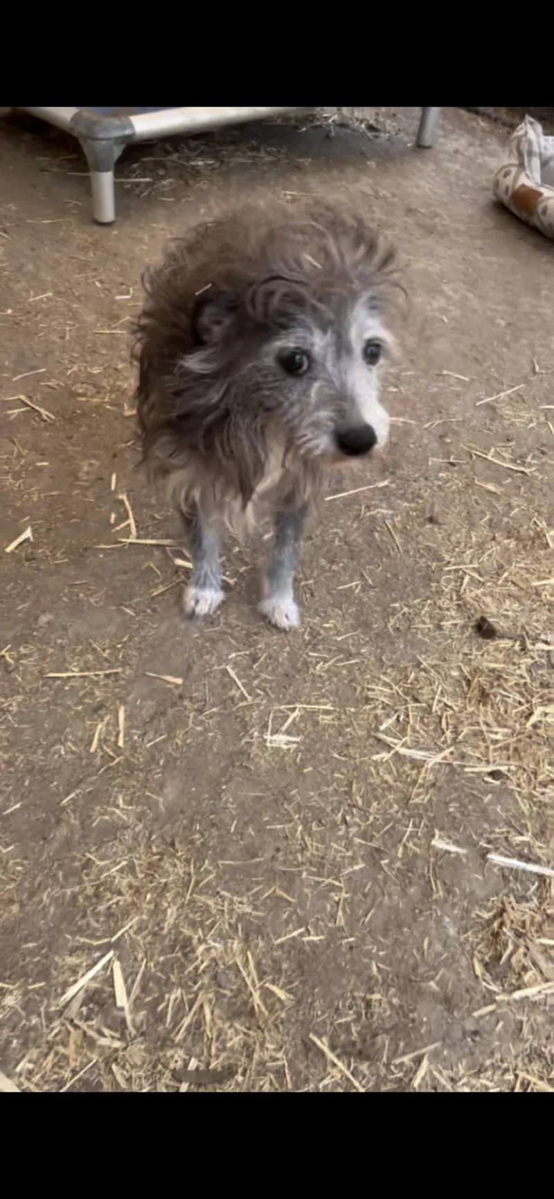 Gus Gus thumbnail 3
