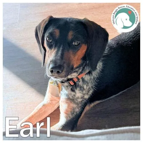Earl thumbnail 2