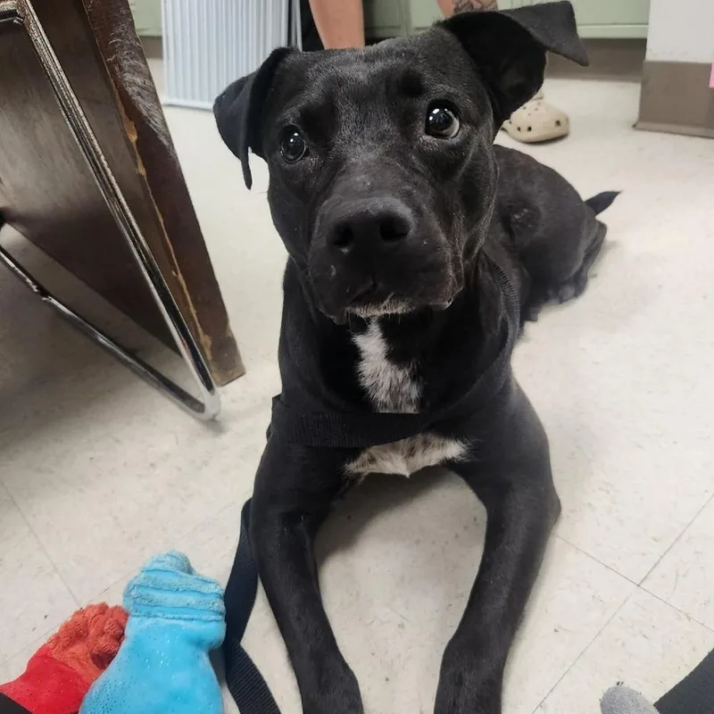 Jemma 💜 A thumbnail 2