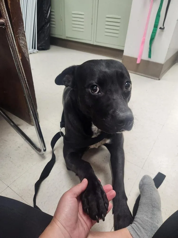 Jemma 💜 A thumbnail 4