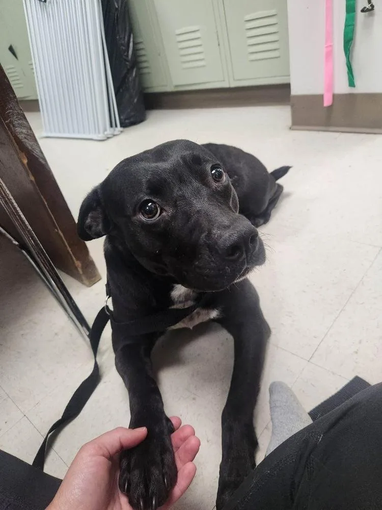 Jemma 💜 A thumbnail 5