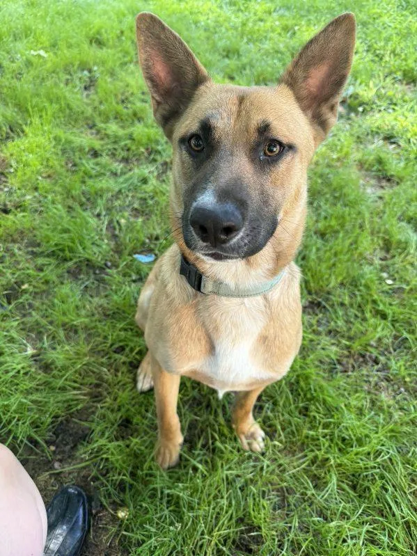 Duke