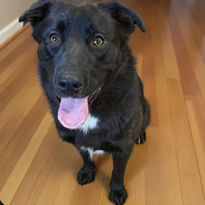 Tyson