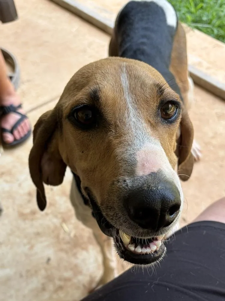 Reba