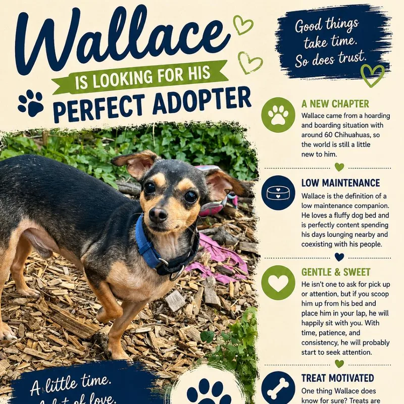 Wallace Arriving  D thumbnail 6