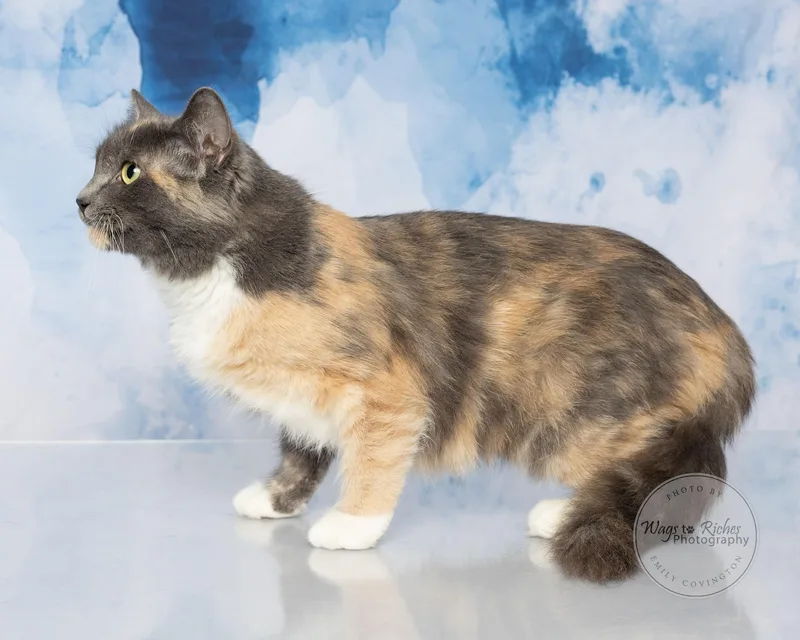 Coral  In The thumbnail 5