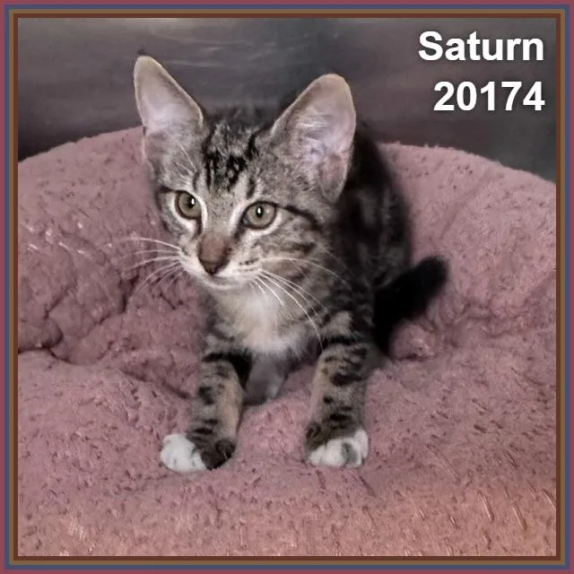 Saturn thumbnail 2