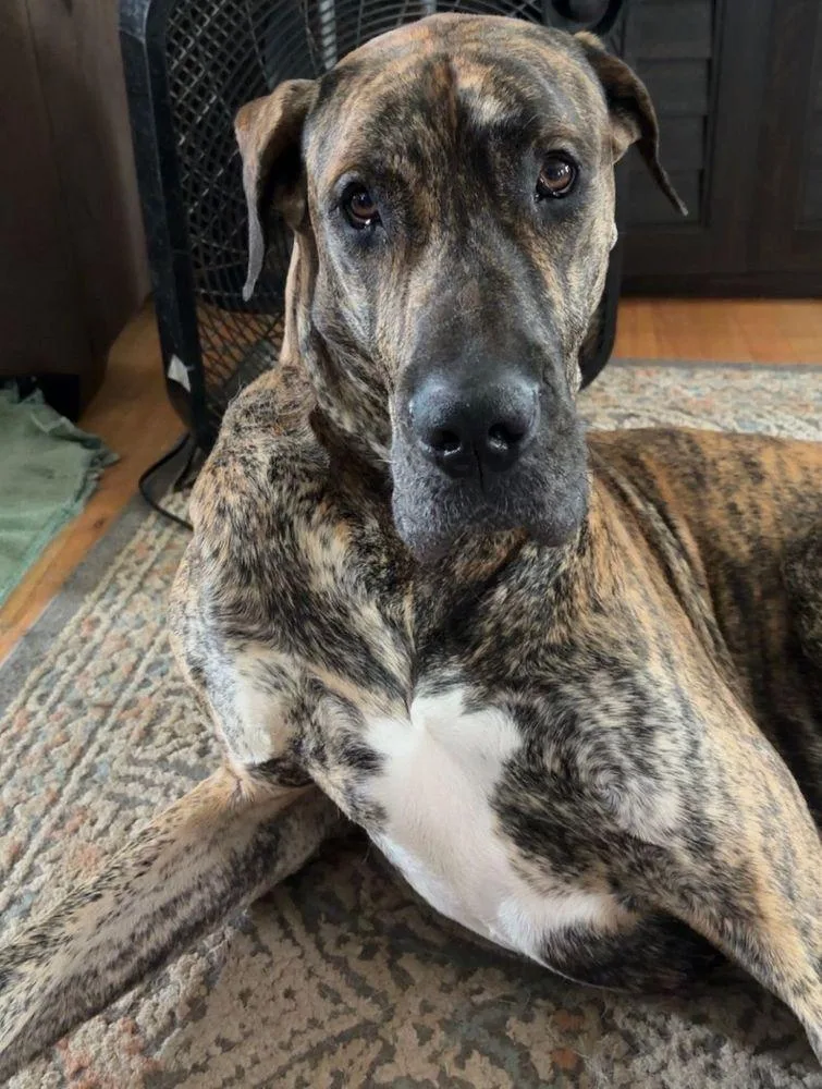 Walter